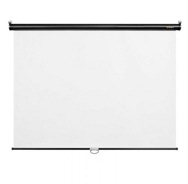 Экран для проектора Lumien Master Picture LMP-100130 настенно-потолочный